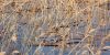 DSC_0021~7.jpg