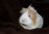 DSC_0022~10.jpg