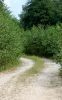 DSC_0022~16.jpg