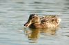DSC_0022~4.jpg