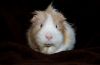 DSC_0025~10.jpg