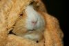DSC_0025~3.jpg