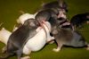 DSC_0026~12.jpg