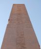 DSC_0028.jpg