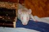 DSC_0028~6.jpg