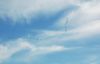 DSC_0032~5.jpg