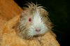 DSC_0034~4.jpg