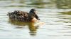 DSC_0034~5.jpg