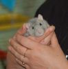 DSC_0037~1.jpg