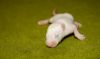 DSC_0037~13.jpg