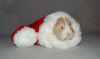 DSC_0043~4.jpg