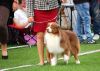 DSC_0044~15.jpg