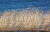 DSC_0044~4.jpg