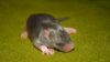 DSC_0045~14.jpg