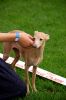 DSC_0047~15.jpg