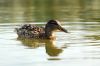 DSC_0053~4.jpg