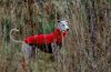 DSC_0055~14.jpg