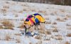 DSC_0056~13.jpg