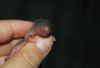 DSC_0056~6.jpg