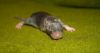 DSC_0057~7.jpg