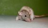 DSC_0058~2.jpg