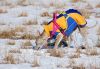 DSC_0059~15.jpg
