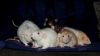 DSC_0061~2.jpg