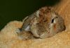 DSC_0064~6.jpg