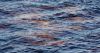 DSC_0065~5.jpg