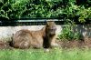 DSC_0067~2.jpg
