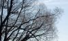 DSC_0068~6.jpg