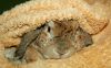 DSC_0070~5.jpg