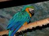 DSC_0073~1.jpg