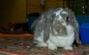DSC_0073~8.jpg