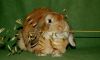 DSC_0074~3.jpg