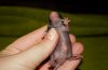 DSC_0076~14.jpg