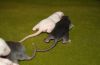 DSC_0077~13.jpg
