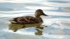 DSC_0077~6.jpg