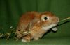 DSC_0081~5.jpg