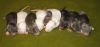 DSC_0094~13.jpg