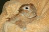 DSC_0095~3.jpg