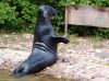DSC_0096~2.jpg