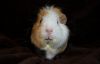 DSC_0099~11.jpg