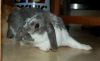 DSC_0102~3.jpg