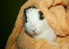 DSC_0104~4.jpg