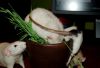 DSC_0107~2.jpg