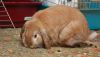 DSC_0108.jpg