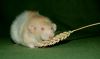 DSC_0111~2.jpg
