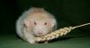 DSC_0113~3.jpg