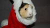 DSC_0113~5.jpg